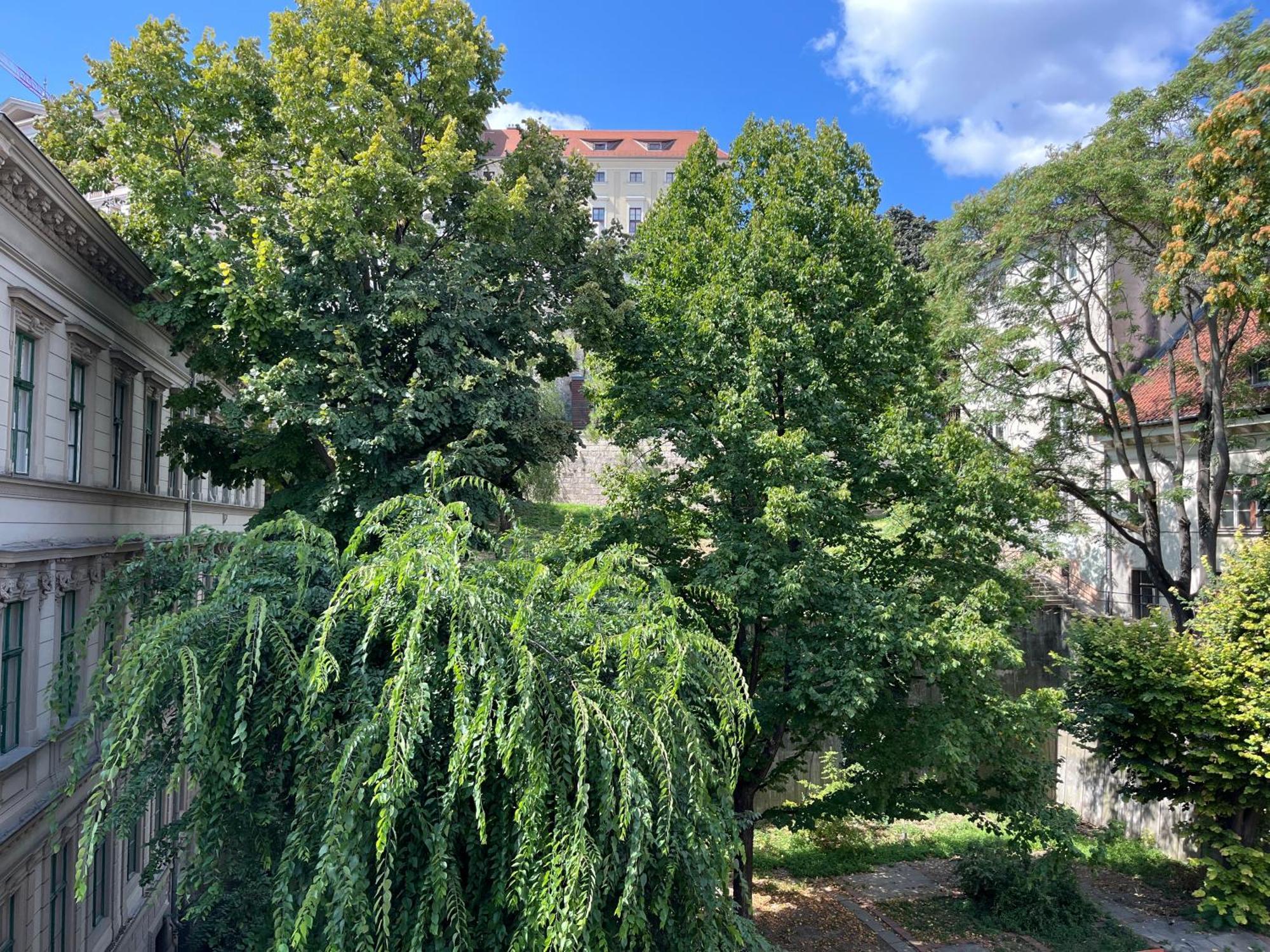 Sunny Studio At The Castle Будапеща Екстериор снимка